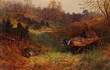 Archibald Thorburn Famous Paintings - Autumn Sunshine